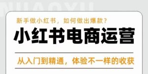 红商学院·小红书电商运营课,新手做小红书如何快速做出爆款,从入门到精通,体验不一样的收货-老胡轻创社