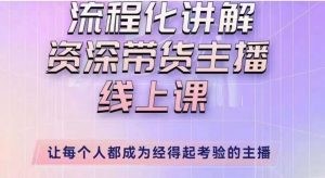婉婉主播拉新实操课(新版)流程化讲解资深带货主播,让每个人都成为经得起考验的主播-老胡轻创社