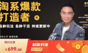 锋投老叶全店动销,淘系干货汇总,各种玩法,淘系爆款打造者-老胡轻创社