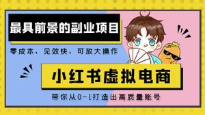 小红书蓝海大市场虚拟电商项目,手把手带你打造出日赚2000+高质量红薯账号-老胡轻创社