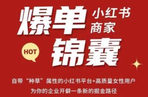 无畏·小红书商家爆单锦囊,掌握小红书各大规则,快速精准抢占行业和市场-老胡轻创社