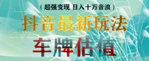 抖音最新无人直播变现直播车牌估值玩法项目,轻松日赚几百+【详细玩法教程】-老胡轻创社