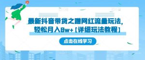 最新抖音带货之蹭网红流量玩法，轻松月入8w+【详细玩法教程】-老胡轻创社