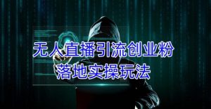 外面收费3980的无人直播引流创业粉落地实操玩法,单日引100+精准创业粉-老胡轻创社