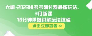 大炮·2023拼多多强付费最新玩法，3月新课​78分钟详细讲解玩法流程-老胡轻创社