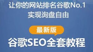 谷歌SEO实战教程:如何让你的网站在谷歌排名第一,内容从入门到高阶,适合个人及团队-老胡轻创社