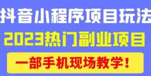 抖音小程序9.0新技巧,2023热门副业项目,动动手指轻松变现-老胡轻创社