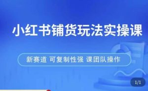 小红书铺货玩法实操课，流量大，竞争小，非常好做，新赛道，可复制性强，可团队操作-老胡轻创社