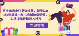 百宝电商小红书训练营,新手从0-1快速掌握小红书店铺流量运营,实战操作轻松月入过万-老胡轻创社