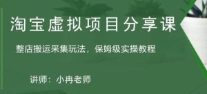 淘宝虚拟整店搬运采集玩法分享课：整店搬运采集玩法，保姆级实操教程-老胡轻创社