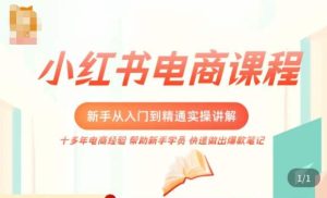 小红书电商新手入门到精通实操课,从入门到精通做爆款笔记,开店运营-老胡轻创社