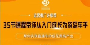 35节课程带你从入门成长为资深车手,让系统学习直通车成为可能,帮你实现直通车的低花费高产出-老胡轻创社