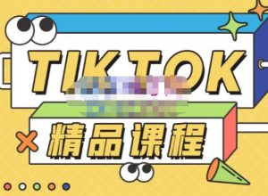 电商孵化中心·TikTok精品课程，教你玩转海外抖音，低成本创业，带您从0开始玩转TikTok-老胡轻创社