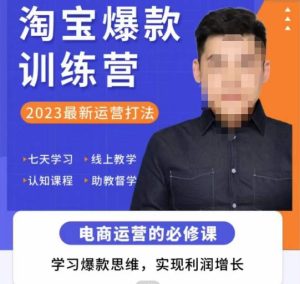 爱上黄昏·淘宝爆款训练营，2023最新运营打法，学习爆款思维，实现利润增长-老胡轻创社