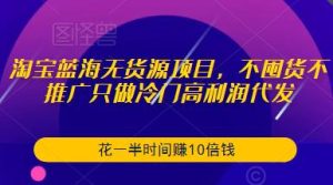 淘宝蓝海无货源项目,不囤货不推广只做冷门高利润代发,花一半时间赚10倍钱-老胡轻创社