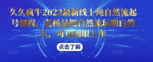 久久疯牛2023最新线上纯自然流起号课程，老杨是把自然流玩明白的人，可以闭眼上车-老胡轻创社