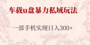 车载u盘暴力私域玩法,长期项目,仅需一部手机实现日入300+-老胡轻创社