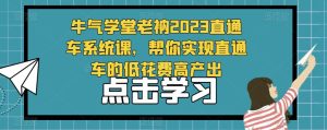 牛气学堂老衲2023直通车系统课,帮你实现直通车的低花费高产出-老胡轻创社