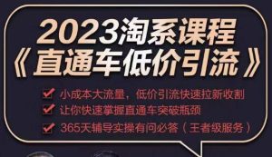 2023直通车低价引流玩法课程,小成本大流量,低价引流快速拉新收割,让你快速掌握直通车突破瓶颈-老胡轻创社