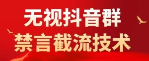外面卖1500抖音粉丝群无视禁言截流技术,抖音黑科技,直接引流,0封号-老胡轻创社
