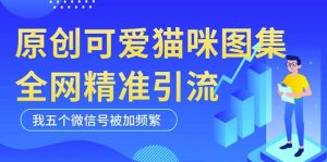 黑科技纯原创可爱猫咪图片，全网精准引流，实操5个VX号被加频繁-老胡轻创社
