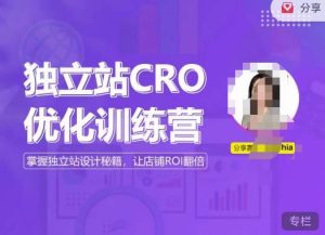 独立站CRO优化训练营,掌握独立站设计秘籍,打造高转化的独立站,让店铺ROI翻倍-老胡轻创社