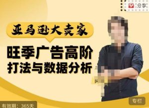 阿甘·亚马逊大卖家广告高阶打法与数据分析,走出传统广告误区;揭秘大卖惯用打法;数据驱动广告决策-老胡轻创社