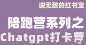 谢无敌ChatGPT打卡营,教你更好地使用ChatGPT来提高工作效率-老胡轻创社