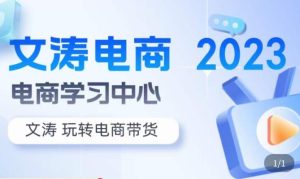 文涛电商·7天零基础自然流起号，​快速掌握店铺运营的核心玩法，突破自然展现量，玩转直播带货-老胡轻创社
