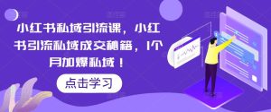 小红书私域引流课,小红书引流私域成交秘籍,1个月加爆私域!-老胡轻创社