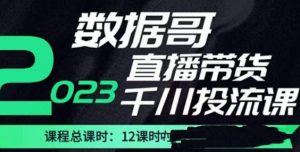 数据哥2023直播电商巨量千川付费投流实操课，快速掌握直播带货运营投放策略-老胡轻创社