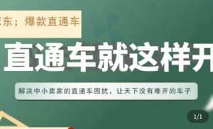 冠东·淘系直通车保姆级教程,全面讲解直通车就那么简单-老胡轻创社