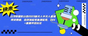 云顶联盟彭小四2023新无人半无人直播带货教程,自然流起号鱼塘起号,OBS+直播伴侣玩法-老胡轻创社