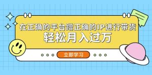 在正确的平台蹭正确的IP进行带货,轻松月入过万-老胡轻创社
