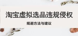淘宝虚拟违规侵权规避方法与建议,6个部分详细讲解,做虚拟资源必看-老胡轻创社