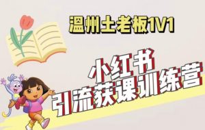 小红书1对1引流获客训练营:账号、内容、引流、成交(价值3999元)-老胡轻创社