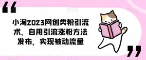 ​小淘2023网创类粉引流术，自用引流涨粉方法发布，实现被动流量-老胡轻创社