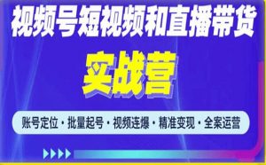 2023最新微信视频号引流和变现全套运营实战课程,小白也能玩转视频号短视频和直播运营-老胡轻创社