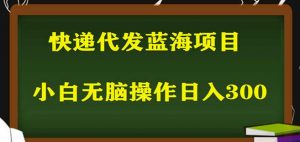 2023最新蓝海快递代发项目，小白零成本照抄也能日入300+-老胡轻创社