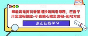 峰教练电商抖音直播投流起号课程:巨量千川全流程投放+小店随心推全流程+起号方式-老胡轻创社