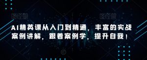 AI精英课从入门到精通，丰富的实战案例讲解，跟着案例学，提升自我！-老胡轻创社