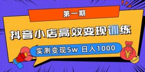 抖音小店高效变现训练营（第一期）,实测变现5w，日入1000【揭秘】-老胡轻创社