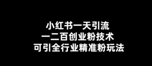小红书一天引流一二百创业粉技术，可引全行业精准粉玩法【仅揭秘】-老胡轻创社
