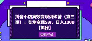 抖音小店高效变现训练营（第三期），实测变现5w，日入1000【揭秘】-老胡轻创社
