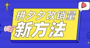 拼多多改销量新方法+卡高投产比操作方法+测图方法等-老胡轻创社