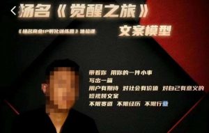 王扬名·《觉醒之旅》文案模型,带着你用你的一件小事,对自己有意义的短视频文案-老胡轻创社