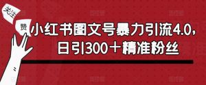 小红书图文号暴力引流4.0,日引300+精准粉丝【揭秘】-老胡轻创社