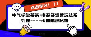 牛气学堂茶茶•拼多多运营玩法系列课—-快速起爆秘籍【更新】-老胡轻创社