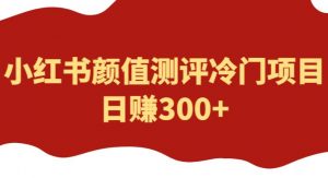 外面1980的项目，小红书颜值测评冷门项目，日赚300+【揭秘】-老胡轻创社
