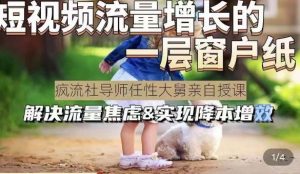 任性大舅·宠物行业短视频运营课(不讲废话)，短视频流量增长的一层窗户纸，解决流量焦虑&实现降本增效-老胡轻创社